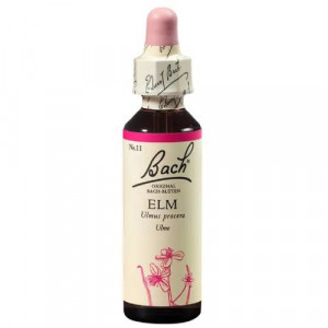 Produktbild von BACHBL&Uuml;TEN Elm Tropfen