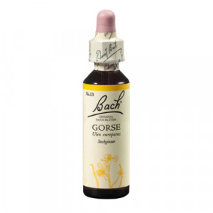 Produktbild von BACHBL&Uuml;TEN Gorse Tropfen