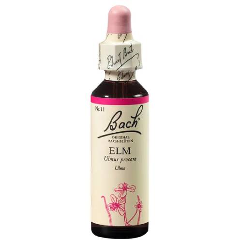 BACHBLÜTEN Elm Tropfen